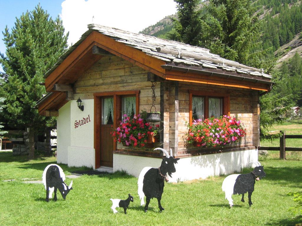 Haus Alpenstern Apartment Saas-Grund Room photo